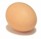 egg